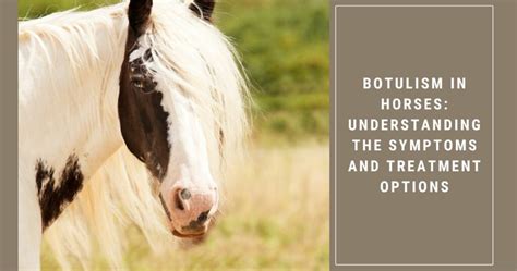 botulism treatment in horses